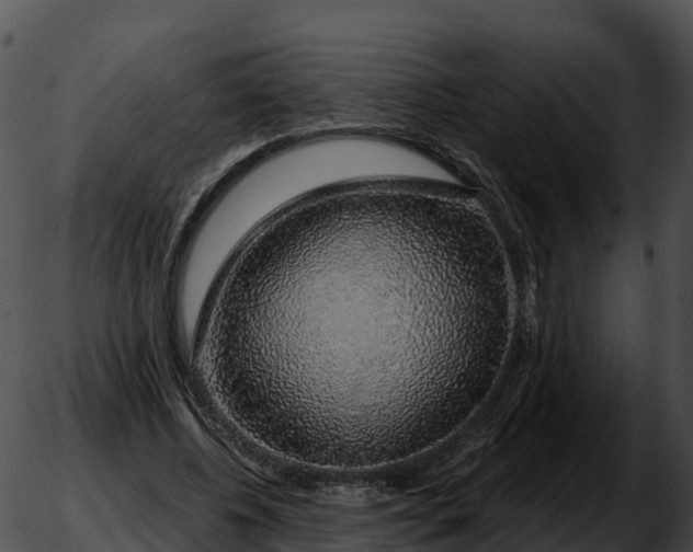 X0000051880540200507020033