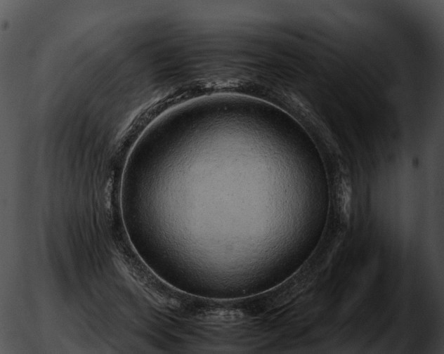 X0000051880543200507020033