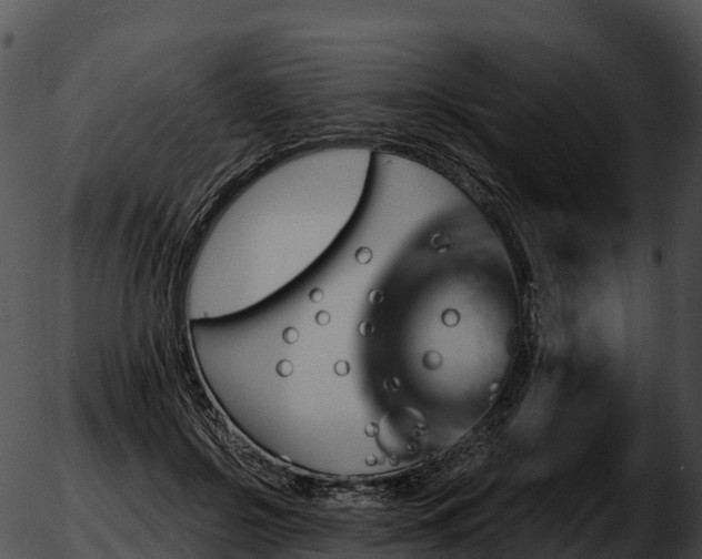 X0000051880550200507020033