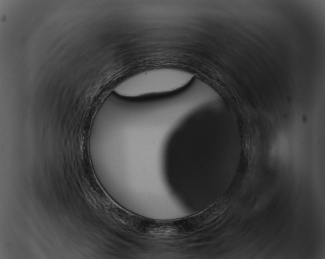 X0000051880551200507020033