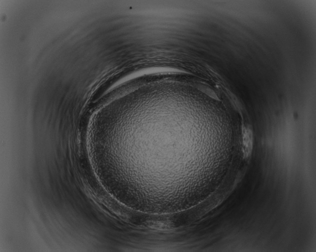 X0000051880552200507020033