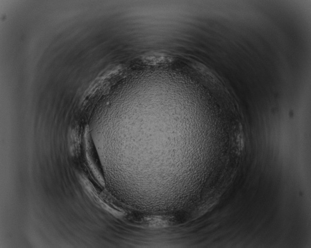 X0000051880558200507020033