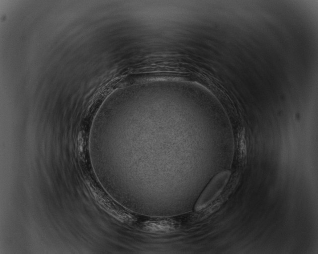 X0000051880567200507020034