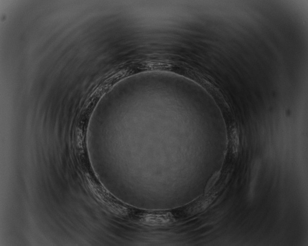 X0000051880571200507020034