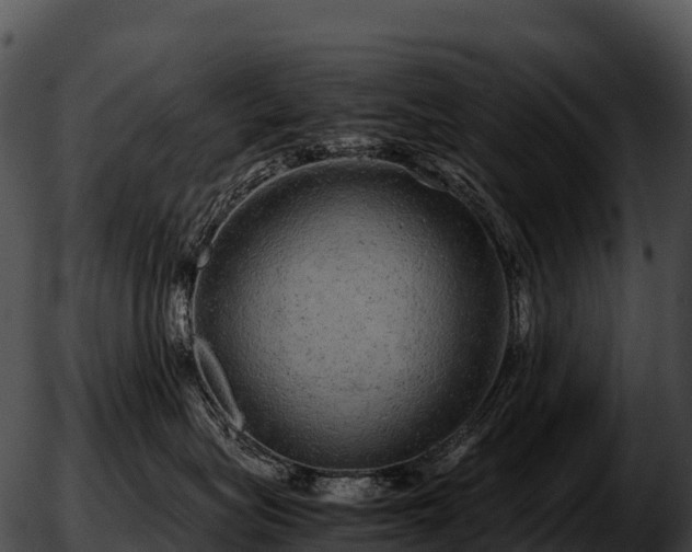 X0000051880575200507020034