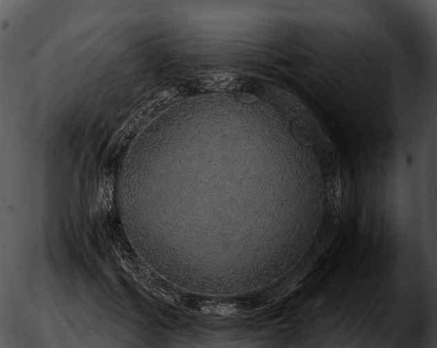 X0000051880602200507020033