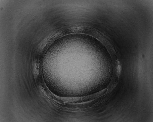X0000051880604200507020032