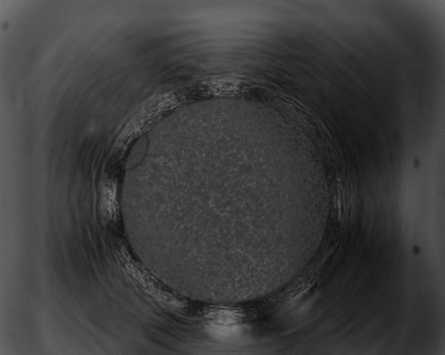 X0000051880610200507020032
