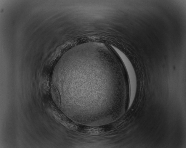 X0000051880615200507020032
