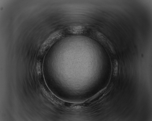 X0000051880620200507020032