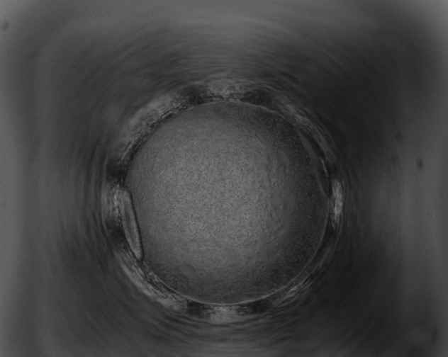 X0000051880623200507020032