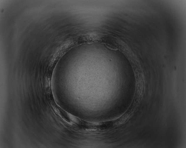 X0000051880624200507020032