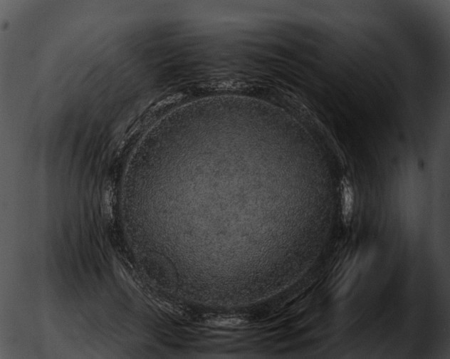 X0000051880643200507020032