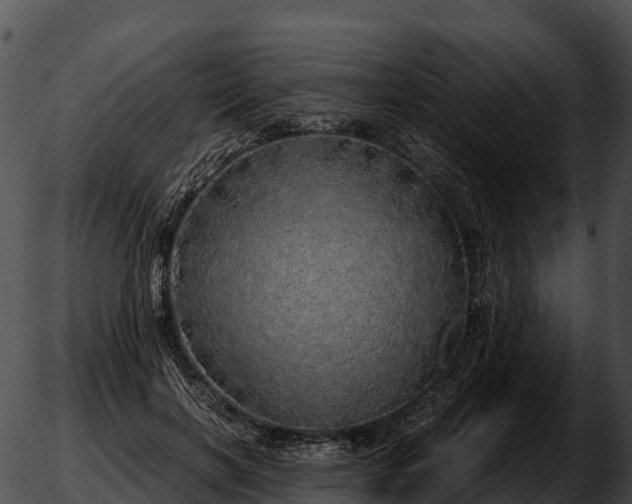X0000051880646200507020032