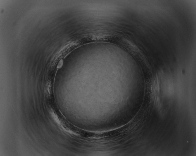 X0000051880648200507020032
