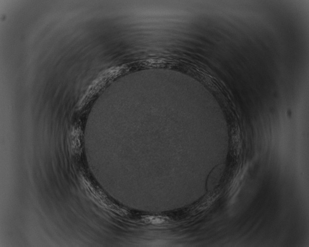 X0000051880654200507020032