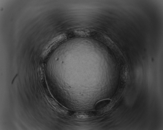 X0000051880658200507020032