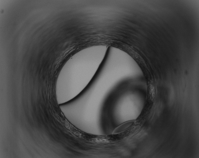 X0000051880668200507020032