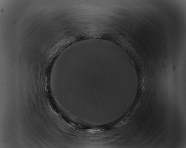 X0000051880693200507020031
