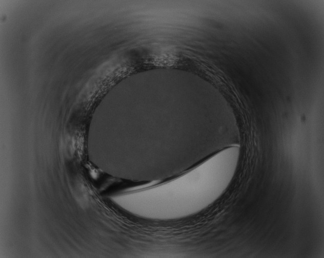 X0000051880697200507020031