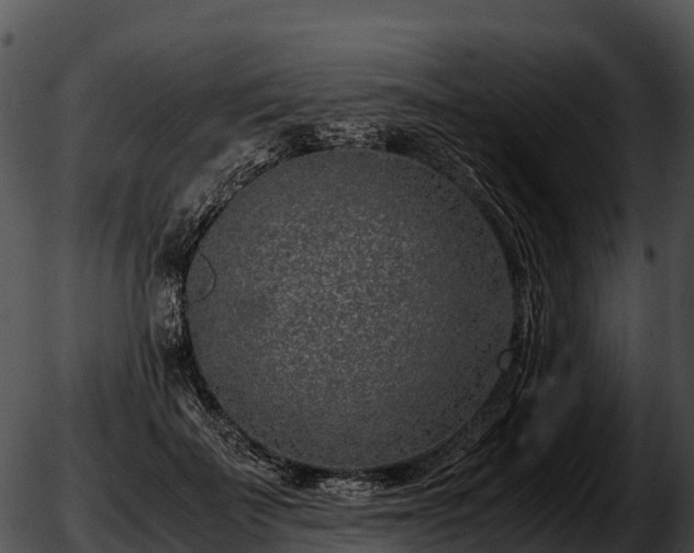 X0000051880699200507020031