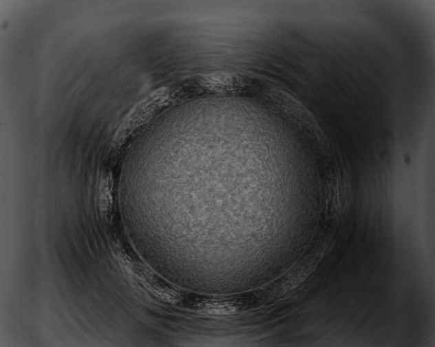 X0000051880702200507020031