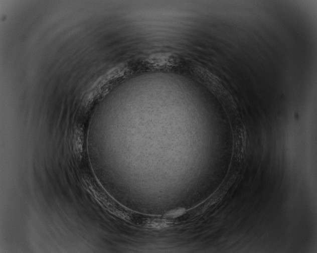 X0000051880710200507020031