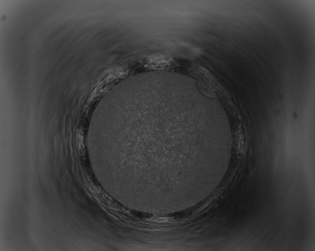 X0000051880711200507020031