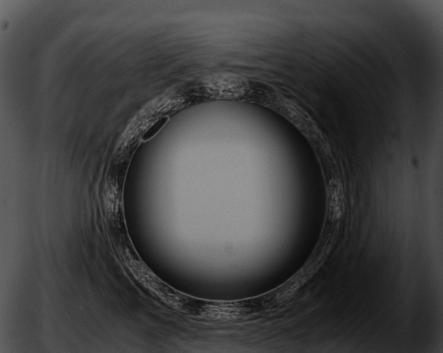 X0000051880713200507020031