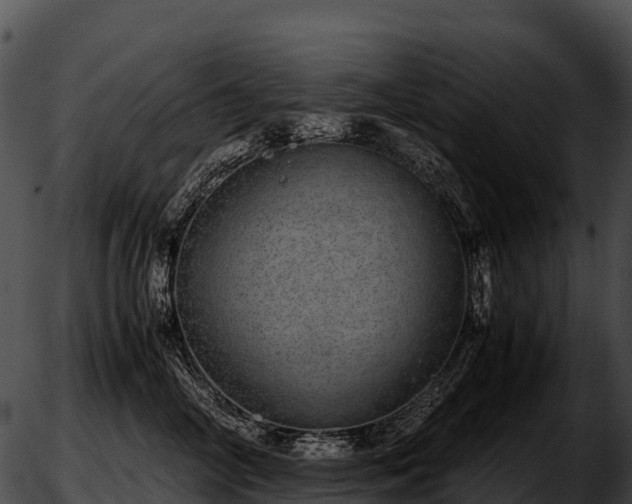 X0000051880714200507020031