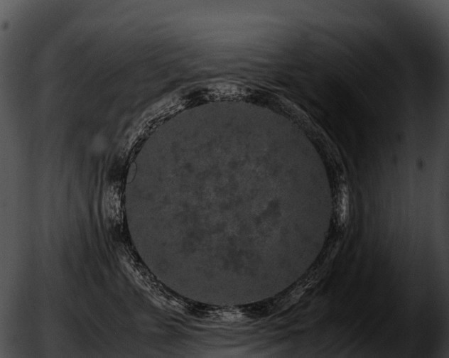 X0000051880715200507020031