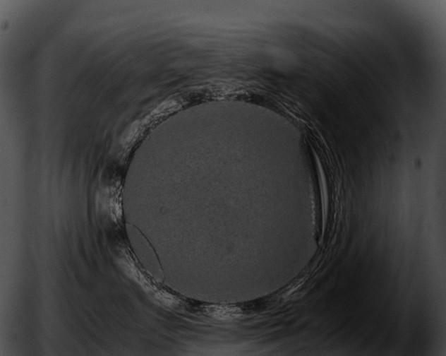 X0000051880719200507020031