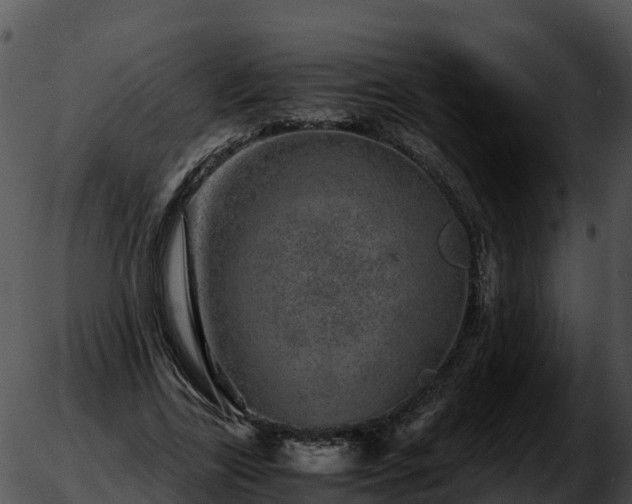 X0000051880731200507020030