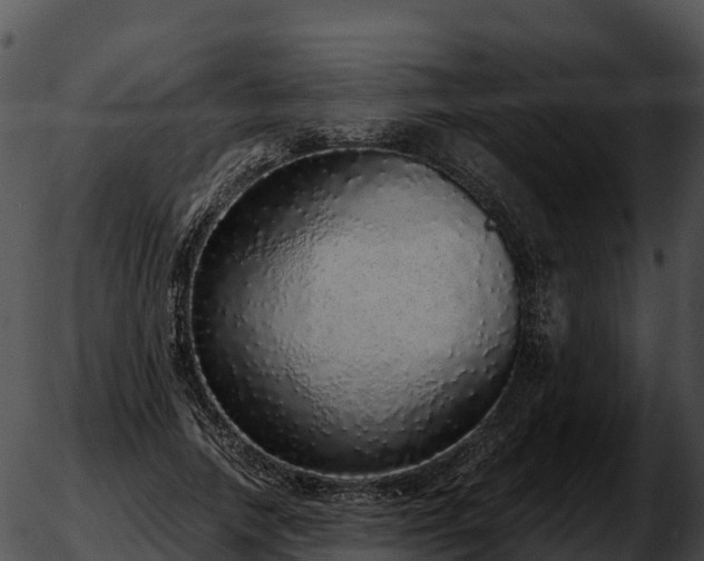 X0000051880738200507020030