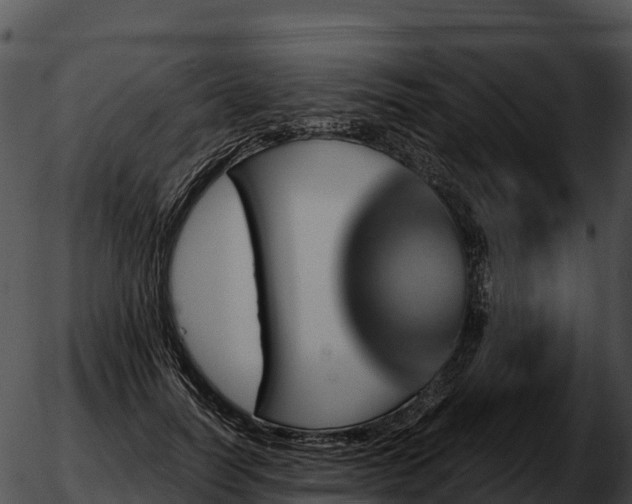 X0000051880746200507020030