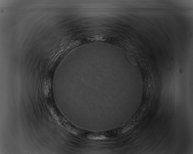 X0000051880747200507020030