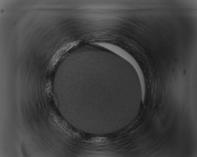 X0000051880748200507020030