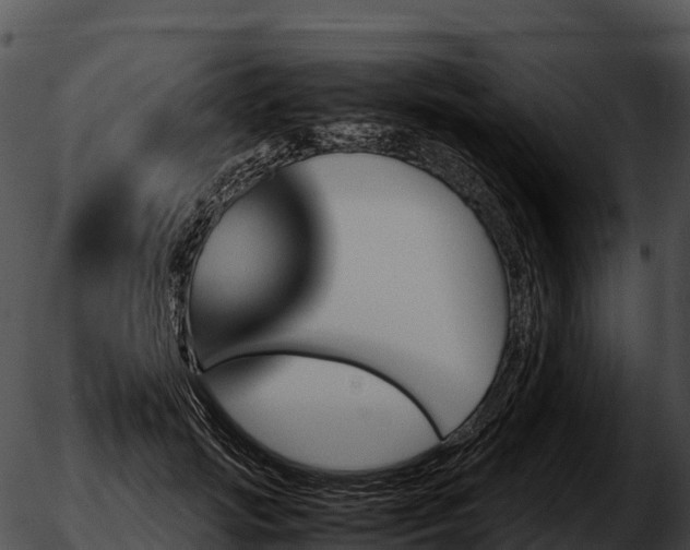 X0000051880749200507020030