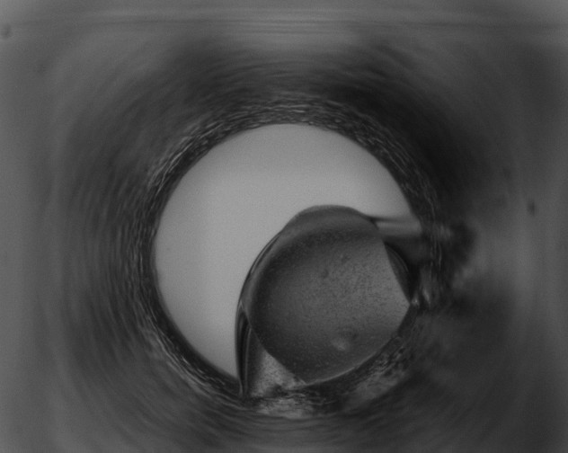 X0000051880750200507020030