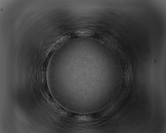 X0000051880755200507020030