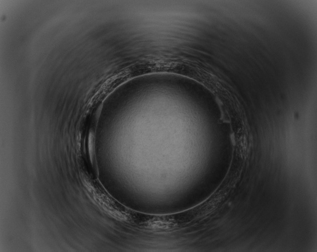 X0000051880756200507020030