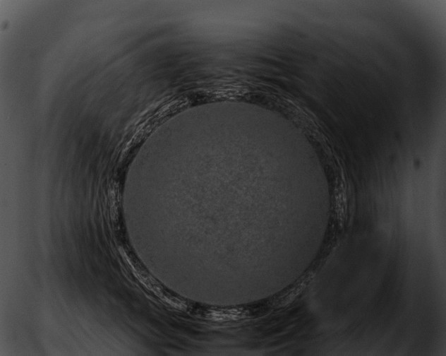 X0000051880757200507020030