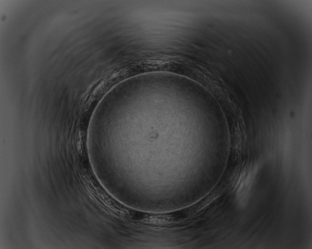 X0000051880758200507020030