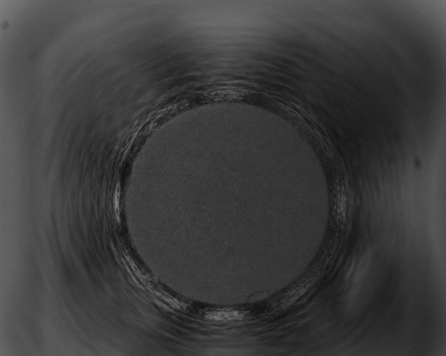 X0000051880759200507020030