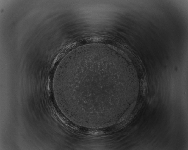 X0000051880760200507020030