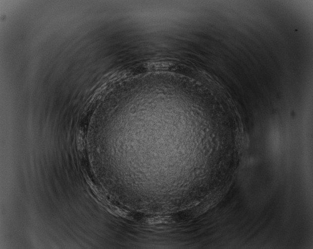 X0000051880761200507020030