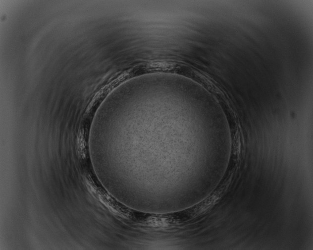 X0000051880764200507020030