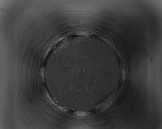 X0000051880766200507020031
