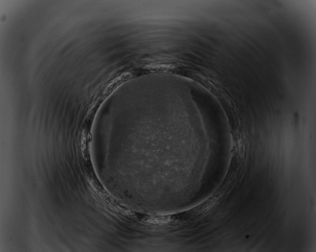 X0000051880767200507020031