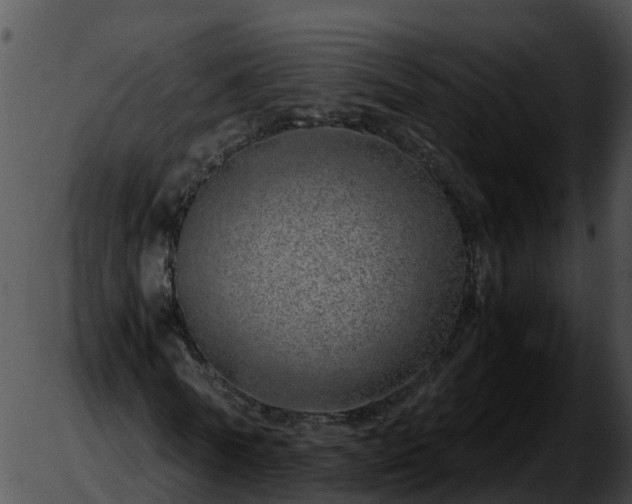 X0000051880770200507020030